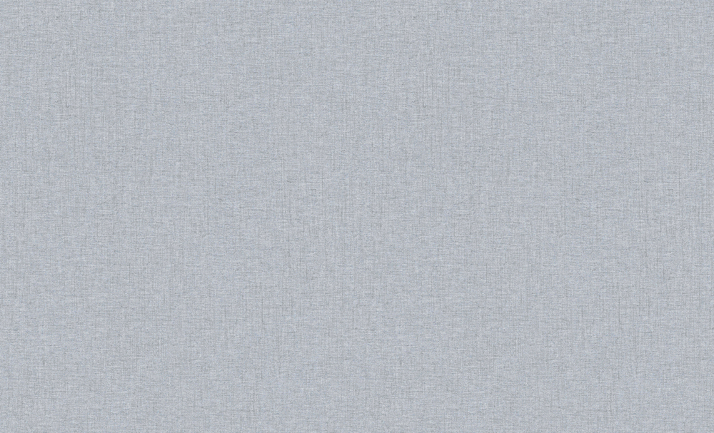 Erismann 60989-05 Basic Skandi