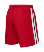 Шорты баскетбольные JÖGEL DIVISION PerFormDRY Shorts R2, красный