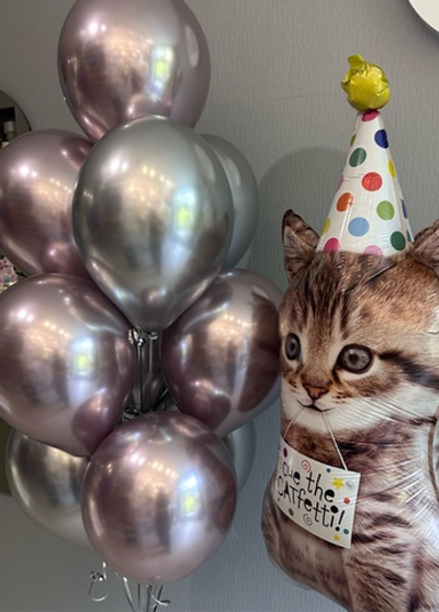 Сет блестящая кошка