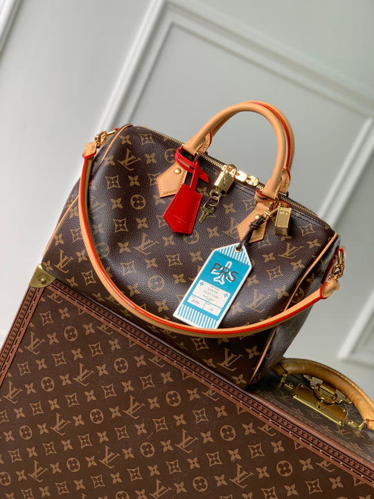 Louis Vuitton Speedy Soft 30 Crafty