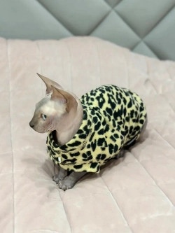 Одежда свитер для сфинксов кошек