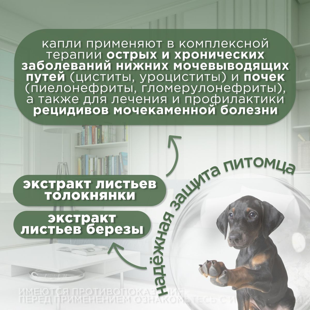 Капли урологические для профилактики и лечения МКБ, острых и хронических заболеваний мочевыводящих путей и почек АВЗ Уролекс для собак, 50 мл