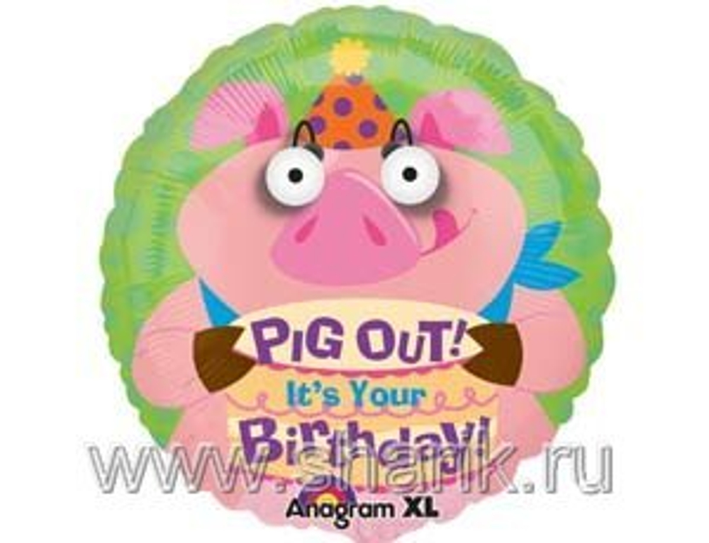 А 18" HB Поросенок Глаза-3D S60