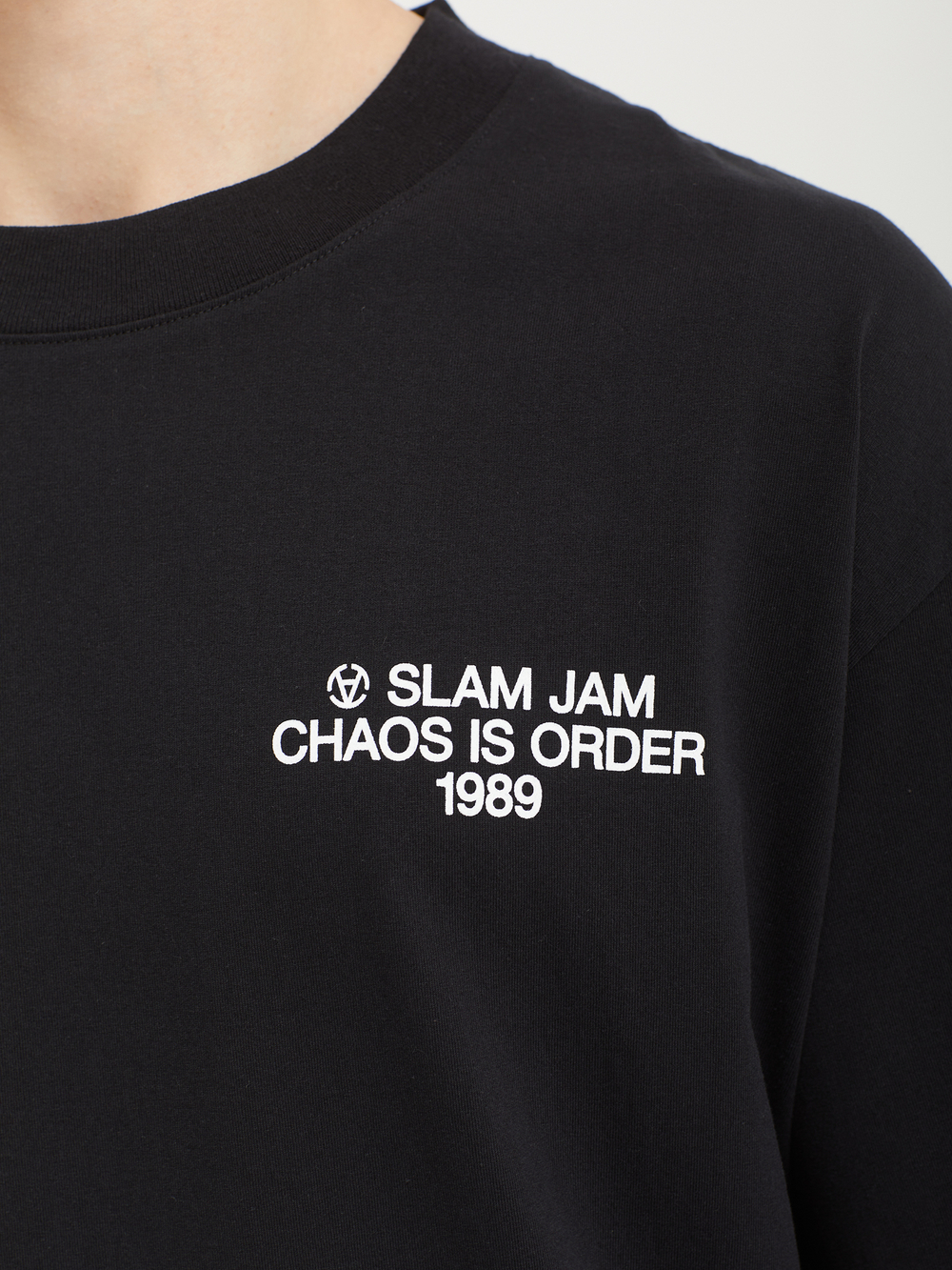 Мужская Футболка Chaos Is Order