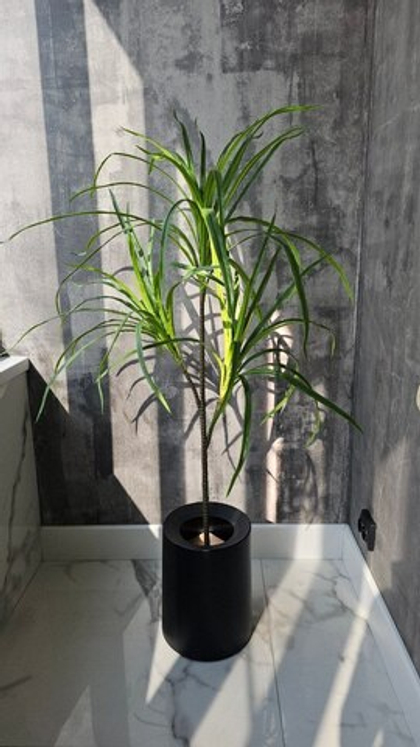 Драцена 3 отв 130 см / Арт 3042