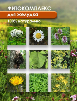 Фитокомплекс для Желудка Полезные травы, 60 капсул