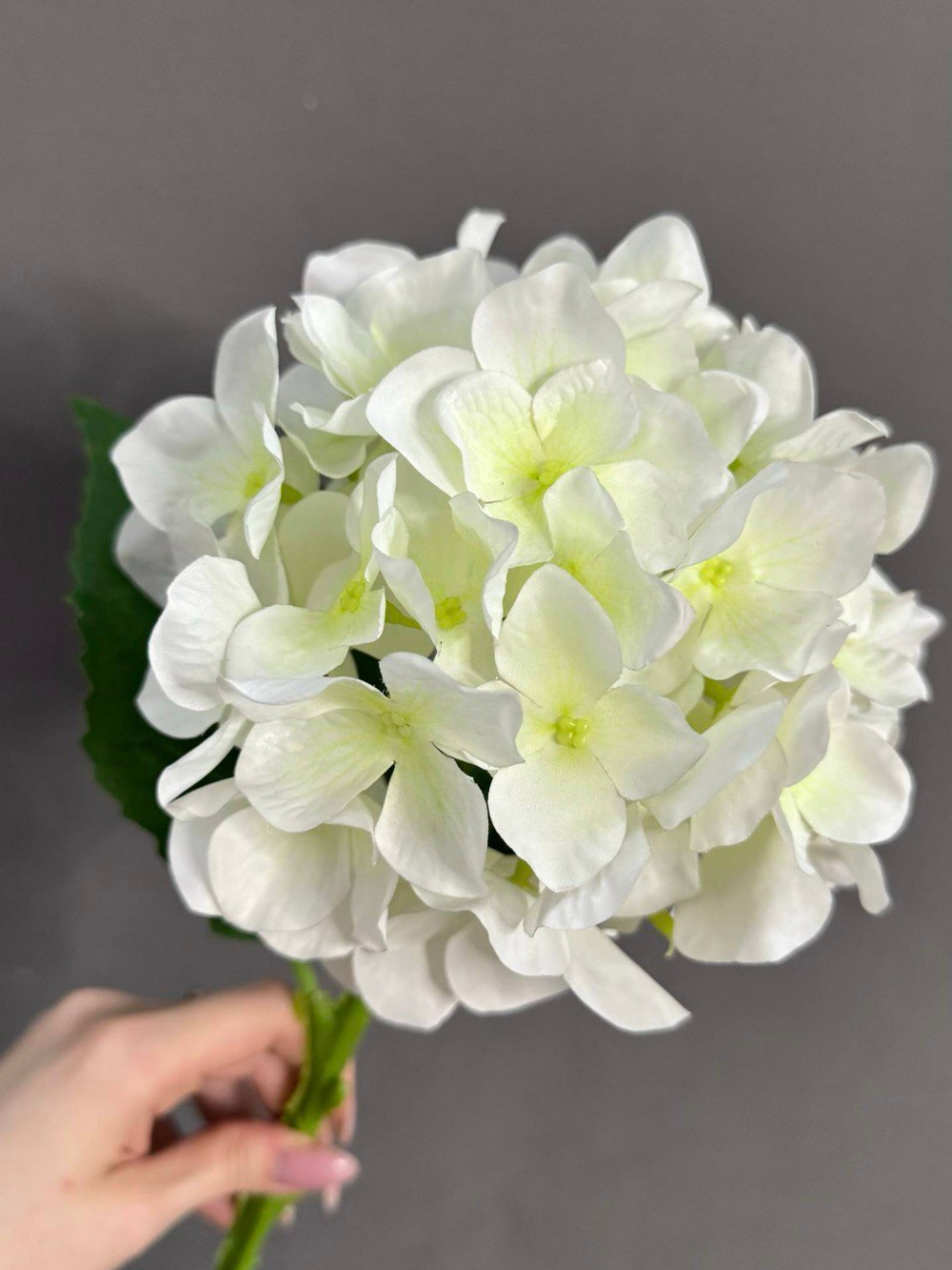 Гортензия белая (h54 см)