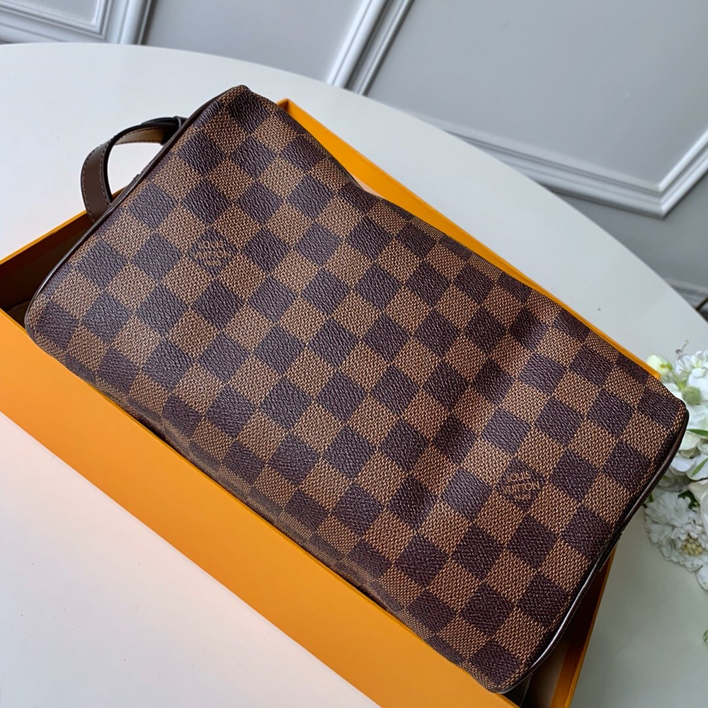 Louis Vuitton Speedy  25