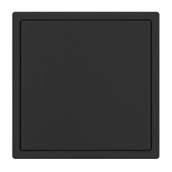 Заглушка поста SCT-NOBE-MGG-SFPL-BK (Arlight, Черный оникс) 061819