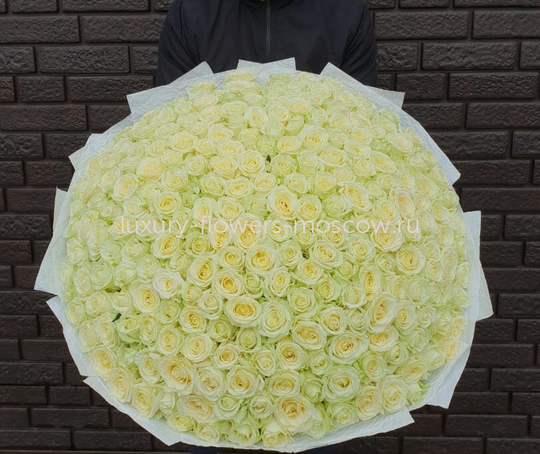 201 белая роза рф в светлой упаковке