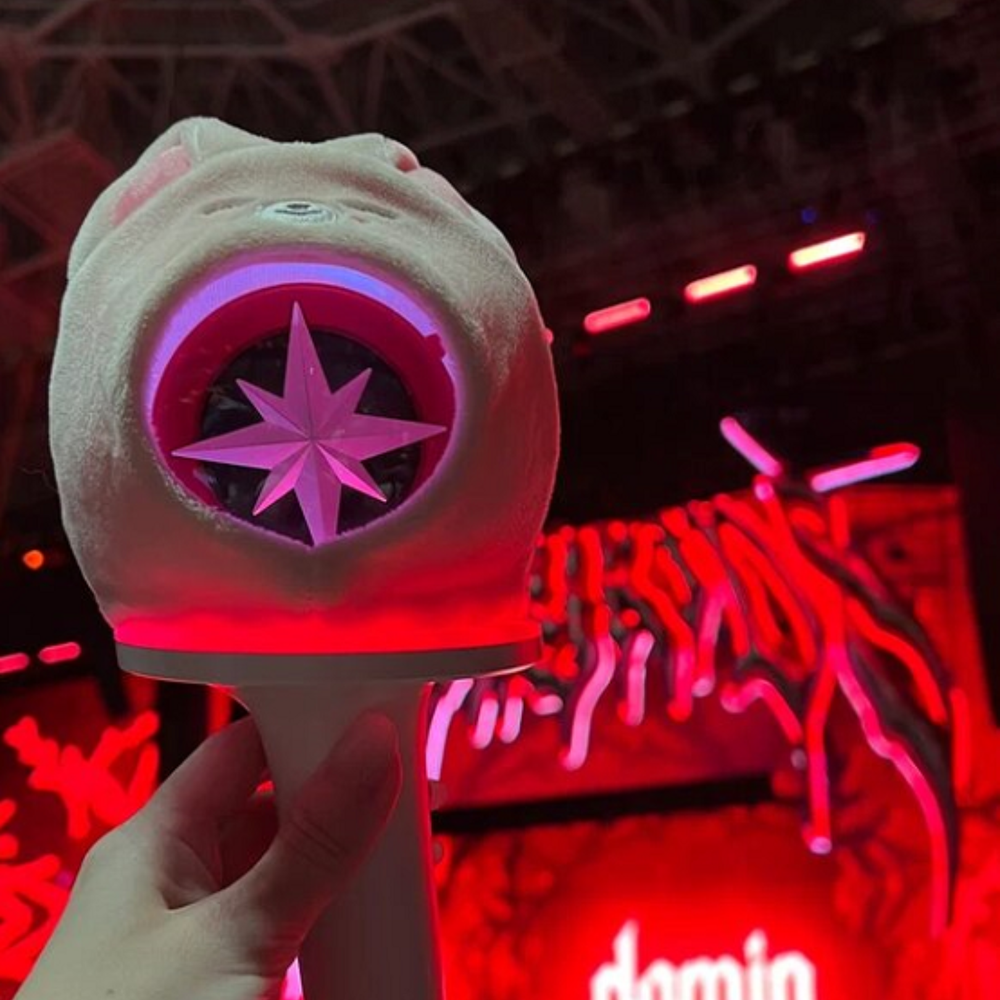 Чехол для лайтстика SKZOO LIGHT STICK COVER Ver.2 - SKZOO Everywhere All Around The World