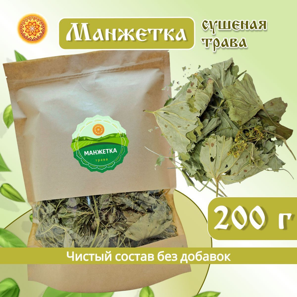 Манжетка трава сушеная.