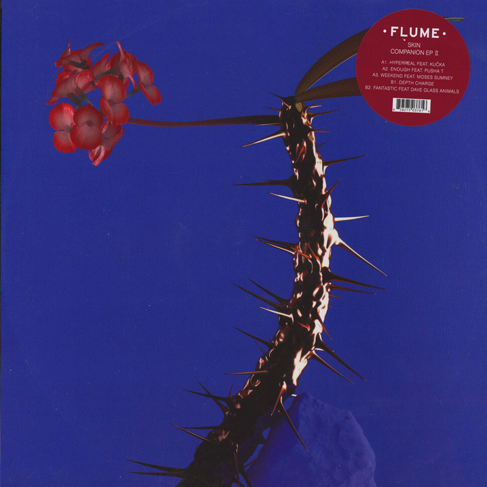 Flume	Skin Companion Ep II