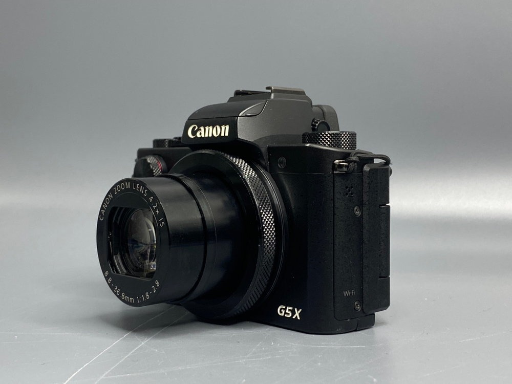 Canon G5X Грибок под линзой