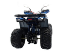 Квадроцикл MOTOLAND 125 WILD X PRO А