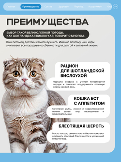 Корм сухой полнорационный для взрослых кошек породы Шотландская вислоухая, с лососем, 5 кг, QUATTRO