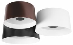 Потолочная люстра Loft it Duo 10360/3