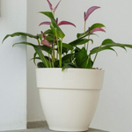 Горшок с дренажной системой ЛОРИ VipSet 6,7л кремовый