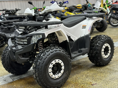 КВАДРОЦИКЛ PROMAX WILD 2.0 190