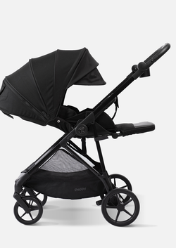 Peppy Коляска прогулочная Amici (Black) рама Black