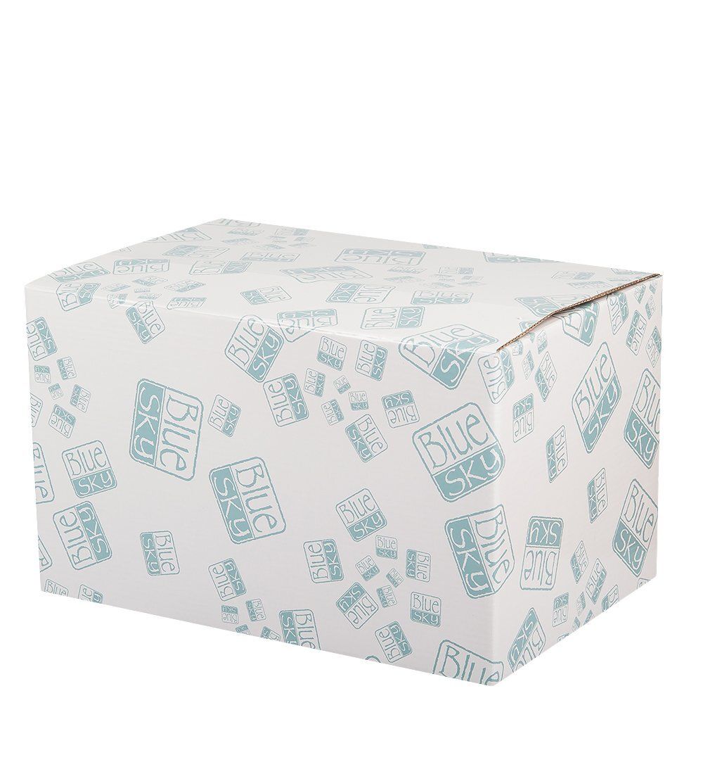 BS- 41 Заварочный чайник «Гибискус»