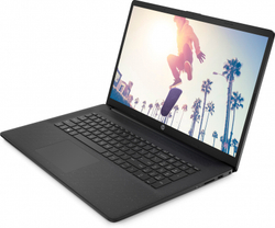 Ноутбук HP 17-cp0133ur AMD Ryzen 3 3250U, 2.6 GHz - 3.5 GHz, 8192 Mb, 17.3" HD+ 1600х900, 512 Gb SSD, DVD нет, AMD Radeon Graphics, Windows 11 Home, черный 5T938EA
