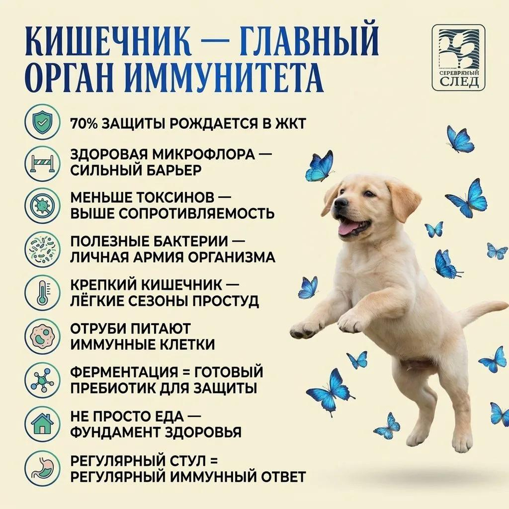 Здоровый кишечник 180 гр.