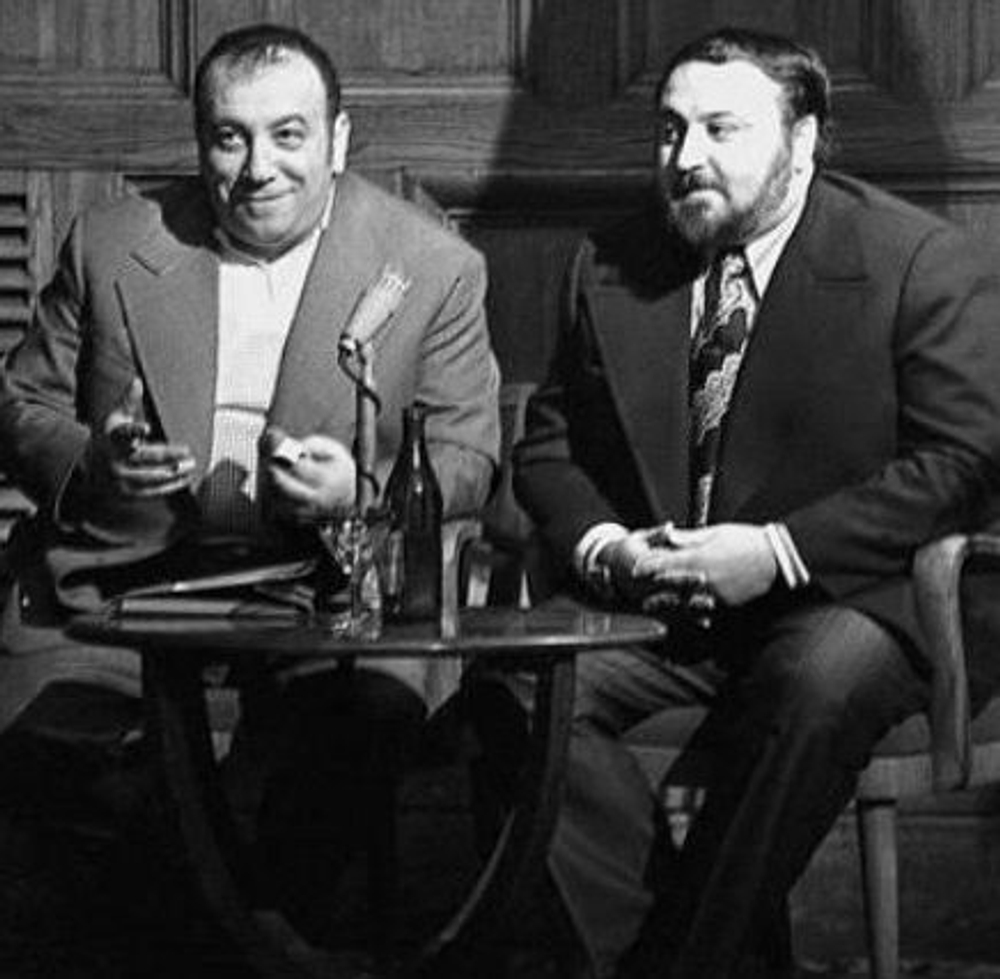 Петля и камень в зеленой траве