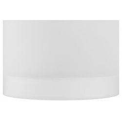 Светильник настенно-потолочный спот ЭРА OL30 WH GX53 белый