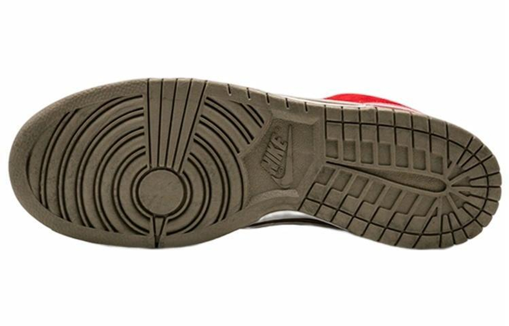 Кроссовки Nike Dunk Sb Tecate