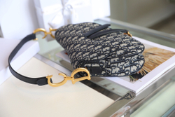 Christian Dior Saddle Bag 25 cm