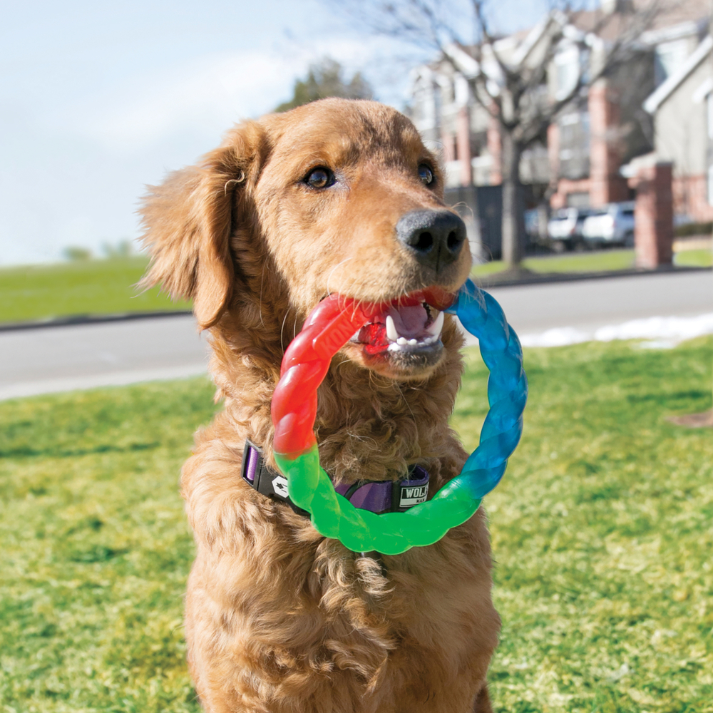 KONG Twistz Игрушка для собак Ring 17 cm