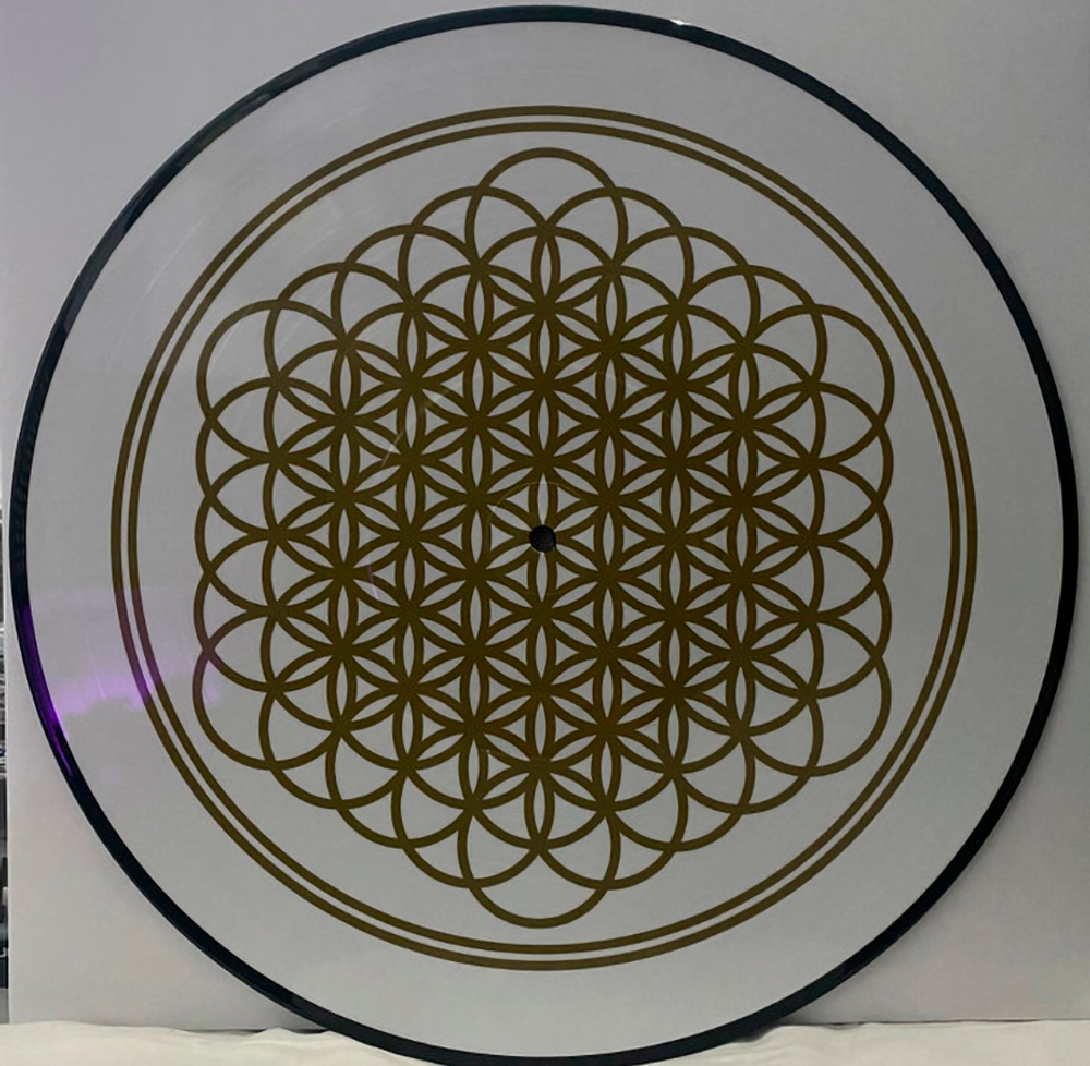 Bring Me The Horizon / Sempiternal (10th Anniversary Edition)(Picture Disc)(LP)