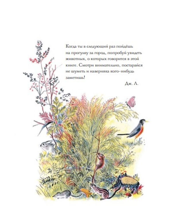 Луговая считалочка