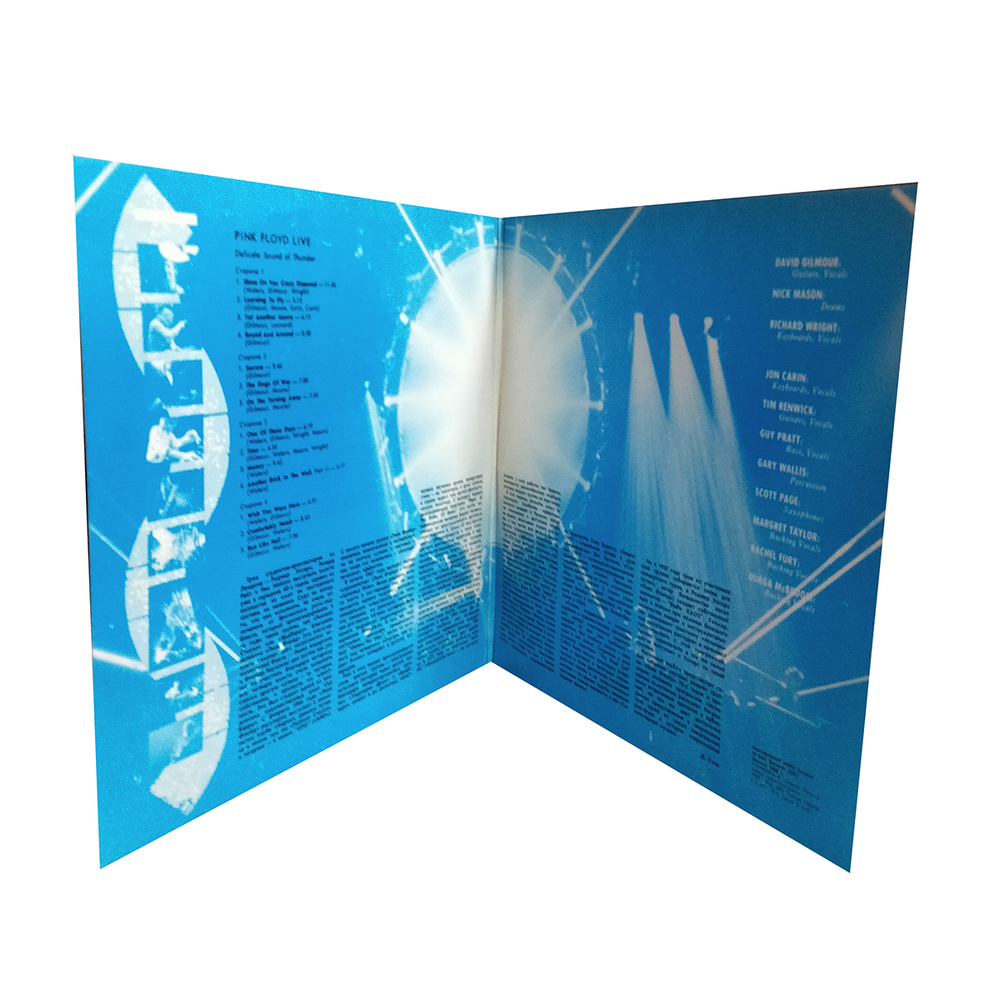 Pink Floyd / Delicate Sound Of Thunder (2LP)