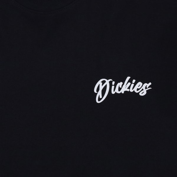 Футболка Dickies Dighton Graphic T-Shirt (black) артикул:WSR19 - купить в магазине Дайс