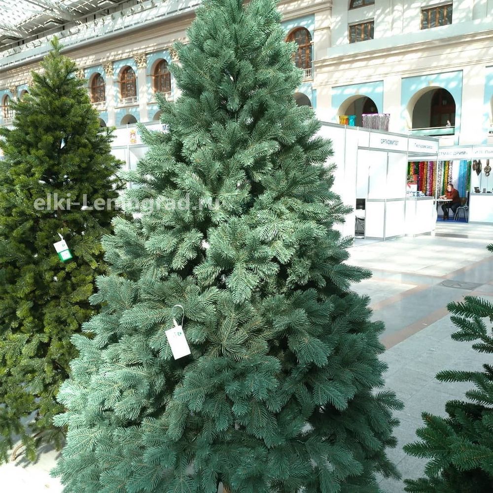 Ель голубая искусственная «Бордо» (Литая хвоя) 180 см / 1.8 м