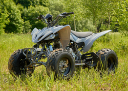 Квадроцикл SHARMAX Raizer Race Cup 250