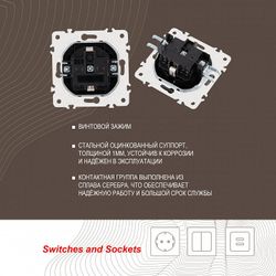 Розетка влагозащищенная с заземлением и со шторкой с крышкой Arte Milano am-205 205.41-1.black