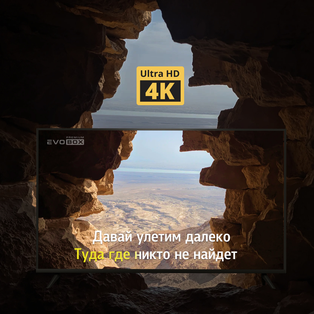 Evolution EvoBox Premium с микрофонами