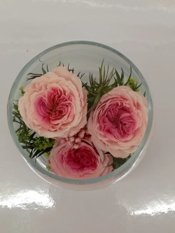 натуральные кустовые пионы в стекле, вакуум*