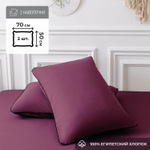 Наволочки 50х70 2 шт Сатин однотонный Элитный 100% египетский хлопок NE00357