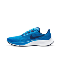 Air Zoom Pegasus 37