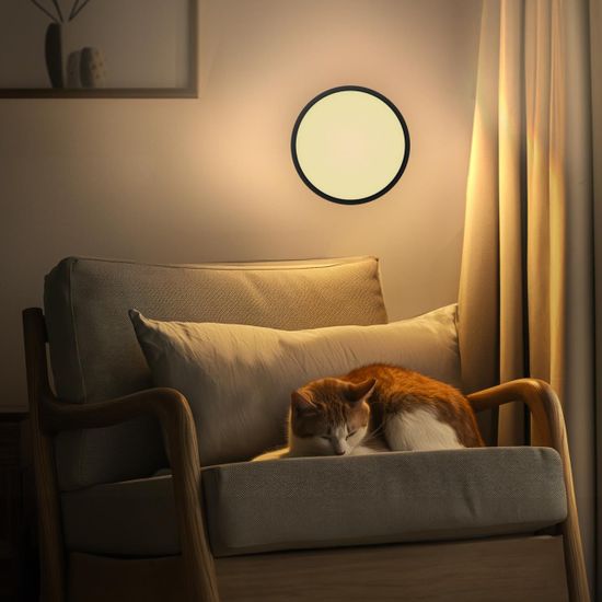 CL738241V Бейсик Черный Св-к Накл. LED 24W*Мульти