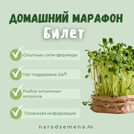 Домашний марафон (билет)