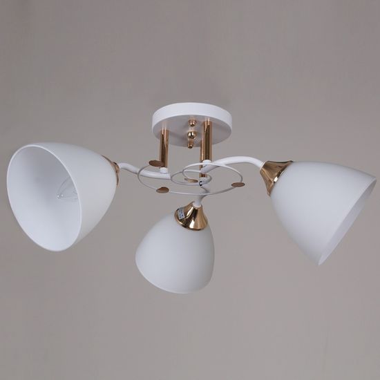 06104-0.3-03 WH+FG светильник потолочный