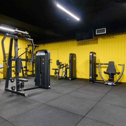 U3007D (E5007) Баттерфляй - задние дельты. Стек 109 кг