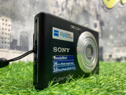 Sony W550