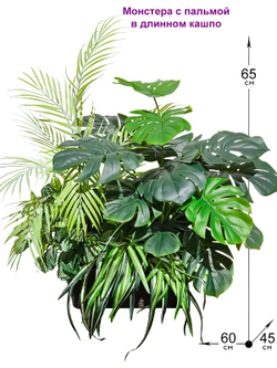 Монстера с пальмой 65см в кашпо