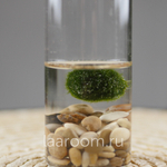 Маримо mini cylinder white